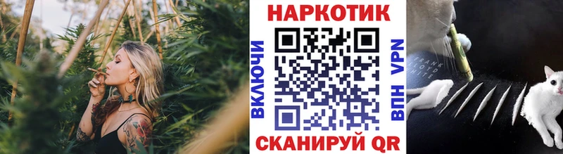 Где можно купить наркотики Карачаевск АМФЕТАМИН  Псилоцибиновые грибы  ГАШ  Мефедрон 