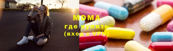гашик Алексин