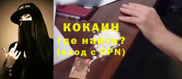 гашик Алексин