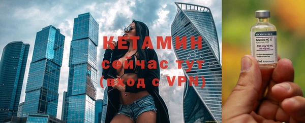гашик Алексин