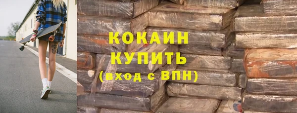 гашик Алексин