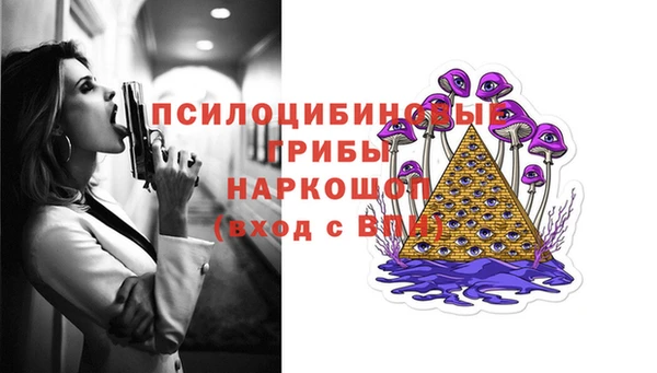 гашик Алексин
