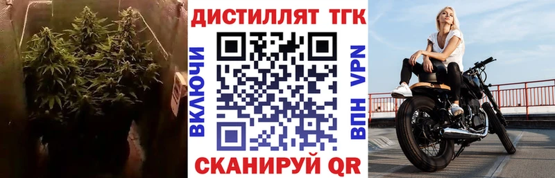 Дистиллят ТГК Wax  как найти   Карачаевск 