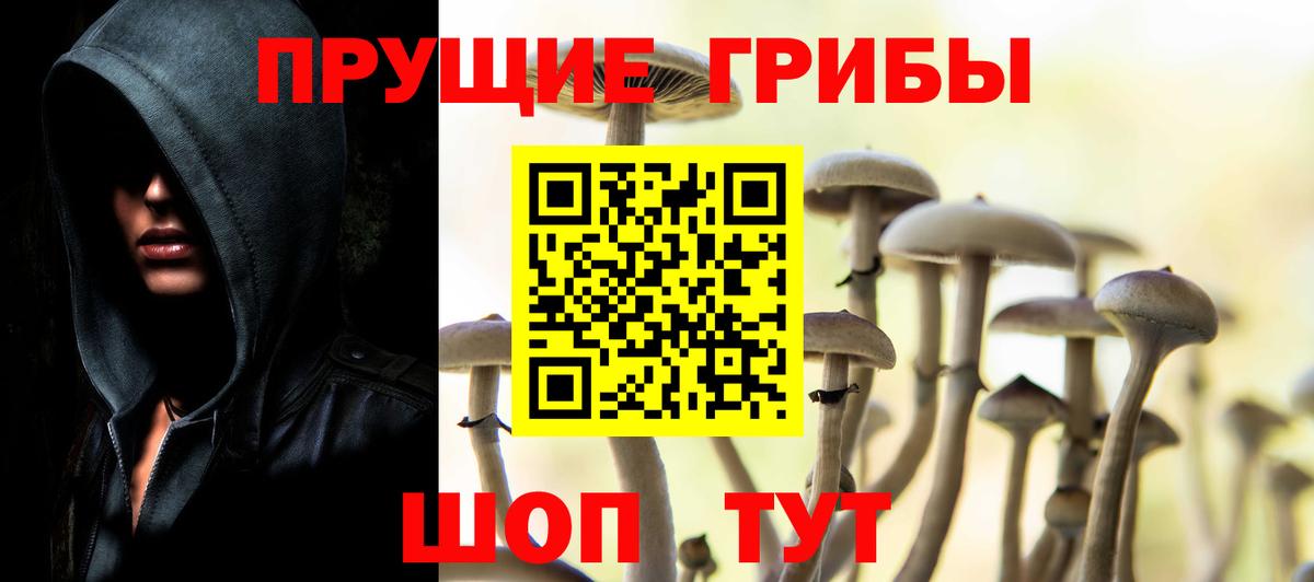 Галлюциногенные грибы мухоморы  Псилоцибиновые грибы Cubensis  Вход с VPN  Карачаевск 